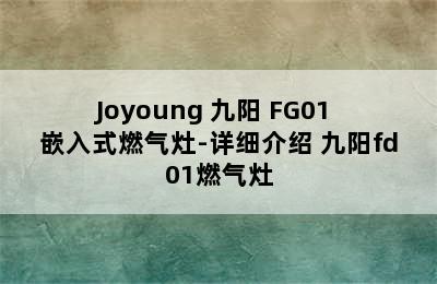 Joyoung 九阳 FG01 嵌入式燃气灶-详细介绍 九阳fd01燃气灶